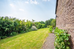 Garden- click for photo gallery